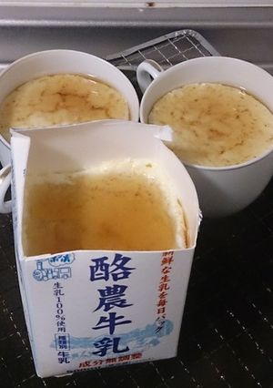 男の茶わん蒸しプリン（ずぼら編）-レシピのメイン写真