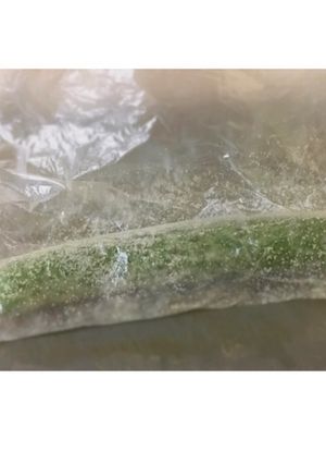 きゅうりの下処理！ずぼら専用ビニール袋-レシピのメイン写真