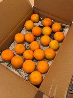 みかんの箱買い、腐りにくい保存方法!-レシピのメイン写真