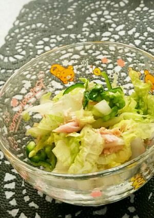 やみつき！白菜とツナの簡単サラダ♡-レシピのメイン写真