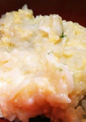 基本の雑炊-レシピのメイン写真