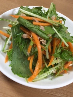 にんじんと水菜のさっぱりサラダ-レシピのメイン写真