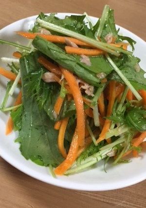 にんじんと水菜のさっぱりサラダ-レシピのメイン写真