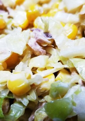 ☆簡単☆茹でキャベツのマヨサラダ-レシピのメイン写真
