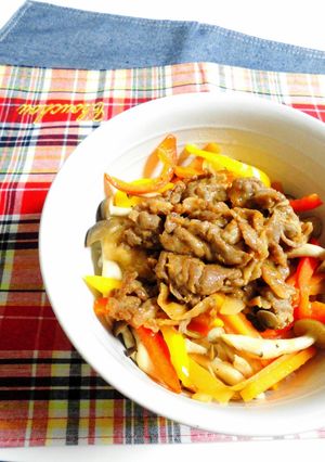 甘口♡濃厚、、豚肉の生姜焼き★丼-レシピのメイン写真