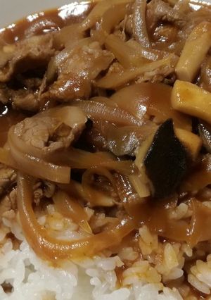 ハインツデミグラスソースでハヤシライス-レシピのメイン写真