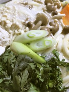 美人レシピ・鶏団子うどん鍋-レシピのメイン写真