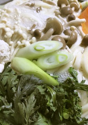 美人レシピ・鶏団子うどん鍋-レシピのメイン写真
