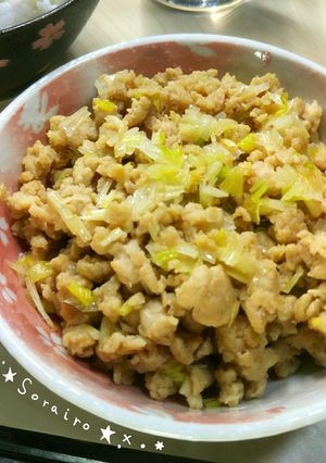 さっぱりコク塩味★葱と鶏ひき肉の中華炒め-レシピのメイン写真