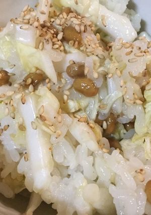 スタミナ源のたれでいただく納豆白菜丼-レシピのメイン写真