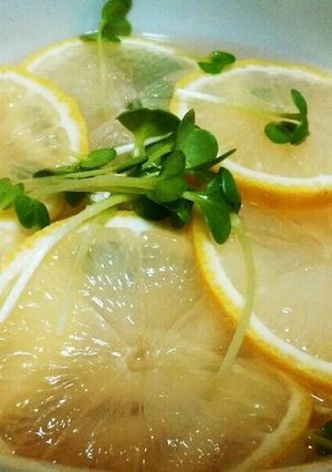 さっぱりレモンうどん-レシピのメイン写真