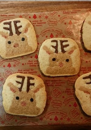 アイスボックスクッキー~トナカイ~-レシピのメイン写真