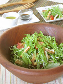 京みず菜と京あげのサラダ-レシピのメイン写真
