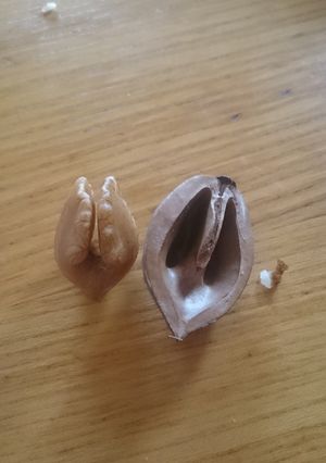 鬼ぐるみの中身を取り出す方法☆-レシピのメイン写真