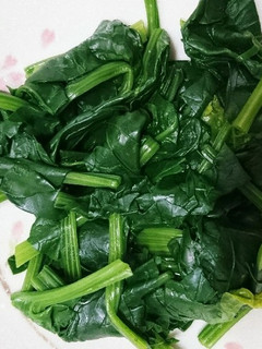 昆布だしで茹でるほうれん草のおひたし-レシピのメイン写真