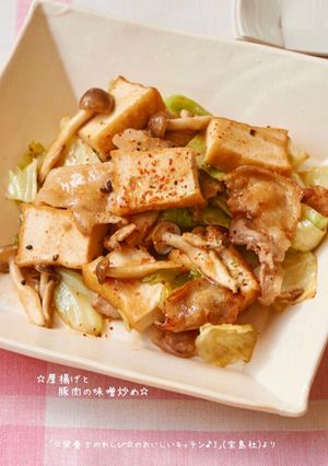☆厚揚げと豚肉の味噌炒め☆-レシピのメイン写真