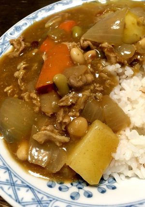 ただのカレーではなく酒、塩こうじ君入り!-レシピのメイン写真