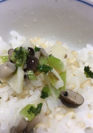 とろっと菜飯炒め-レシピのメイン写真