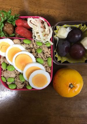 そぼろ弁当-レシピのメイン写真