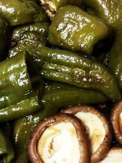 【常備菜】甘長ししとうと椎茸の簡単煮浸し-レシピのメイン写真