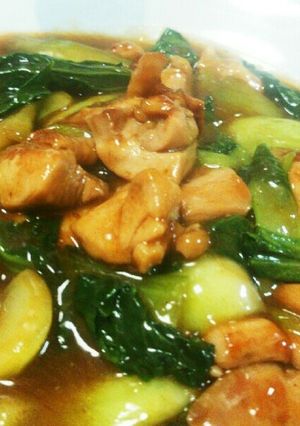鶏モモ肉と青梗菜の炒め物(とろみ付け)-レシピのメイン写真