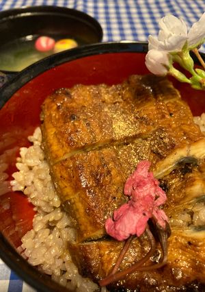 桜鰻重-レシピのメイン写真