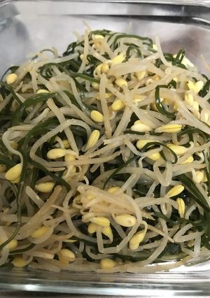 簡単常備菜 豆もやしと切り昆布の炒め物-レシピのメイン写真