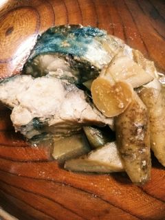 鯖とごぼうの味噌煮-レシピのメイン写真