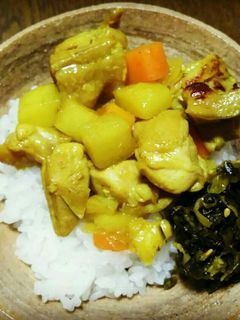 鳥もも肉の汁(ソース)なしカレー?-レシピのメイン写真