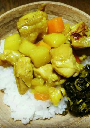 鳥もも肉の汁(ソース)なしカレー？-レシピのメイン写真