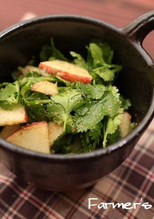 【農家のレシピ】パクチーとりんごのサラダ-レシピのメイン写真