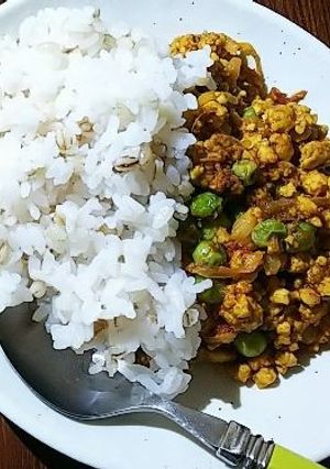 あっさり！パクパク！豆腐のキーマカレー-レシピのメイン写真