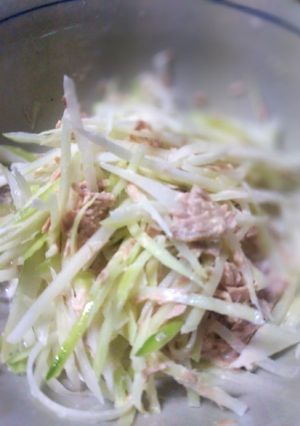 青パパイヤのサラダ-レシピのメイン写真