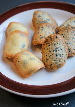 ごまのチュイル　＆　かぼちゃの種チュイル-レシピのメイン写真