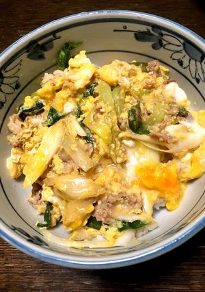 塩麹入り豚葱玉丼-レシピのメイン写真