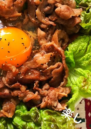 余り物で簡単クッキング！ 焼肉丼-レシピのメイン写真