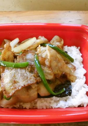 源たれで味付け!焼肉丼♪-レシピのメイン写真