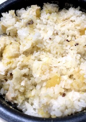 ズボラ飯「鍋キューブサラダチキンご飯」２-レシピのメイン写真