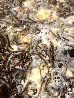 体に優しい!もずくの卵とじ吸い-レシピのメイン写真