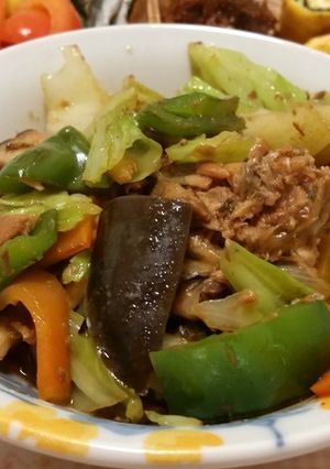 【速い簡単ガッツリ野菜の！】回鍋サバ味噌-レシピのメイン写真