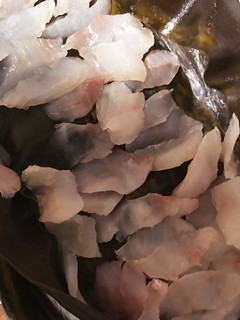 愛に包まれるように…ソイとガヤの昆布締め-レシピのメイン写真
