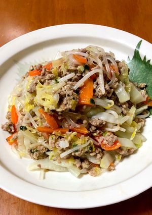 白菜と野菜たっぷりマロニーの中華炒め-レシピのメイン写真