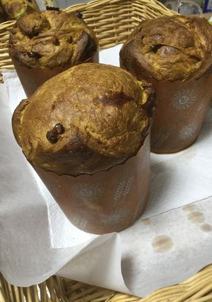 グリンティーパネトーネ-レシピのメイン写真