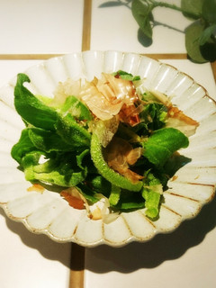 アイスプラントのおかか和え-レシピのメイン写真