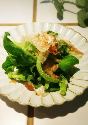 アイスプラントのおかか和え-レシピのメイン写真