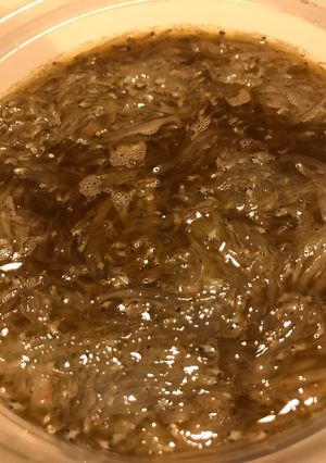 生しらすの沖漬け-レシピのメイン写真