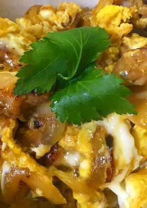 10分でできるカンタン親子丼♩-レシピのメイン写真