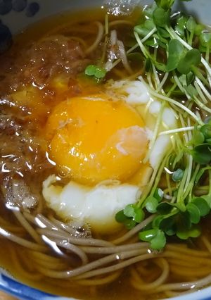 沸騰つゆ温泉玉子蕎麦-レシピのメイン写真