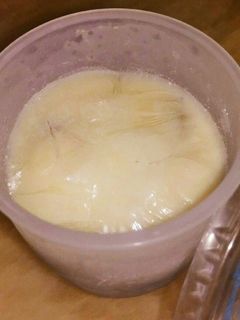 レーズンのフローズンヨーグルト-レシピのメイン写真