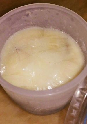 レーズンのフローズンヨーグルト-レシピのメイン写真